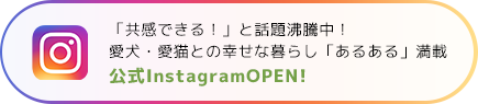 299ハウスインスタグラム